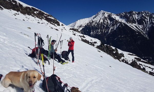 25.03.-01.04.2017: Kühtai - Hundekurs