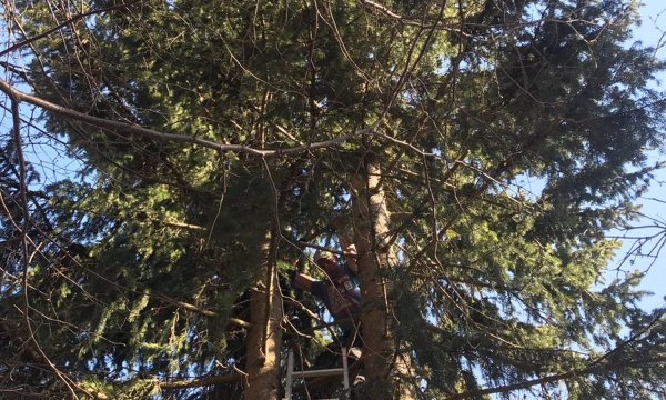 20.04.2018: Bergung Paragleiter